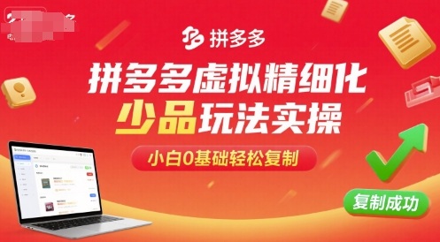 拼多多虚拟精细化少品玩法实操，小白0基础轻松复制-站源网