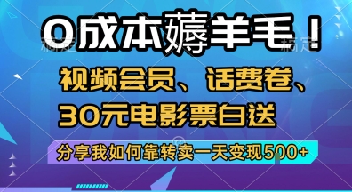 0成本薅羊毛!视频会员、话费卷、30元电影票白送，分享我如何靠转卖一天变现5张+【揭秘】-站源网