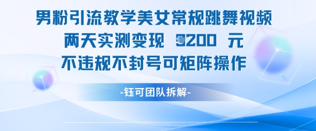 男粉引流教学美女常规跳舞视频两天实测变现1k+，不违规不封号可矩阵操作-站源网