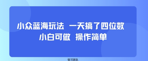 小众蓝海玩法 一天搞了四位数 小白可做 操作简单-站源网