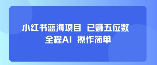 小红书蓝海项目，全程AI，操作简单，已挣五位数-站源网