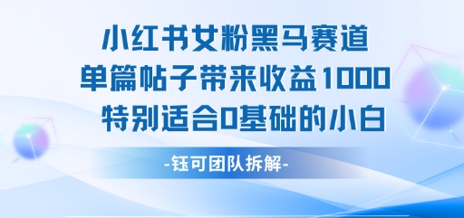 小红书女粉黑马赛道单篇帖子带来收益1k+，特别适合0基础的小白-站源网