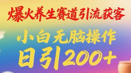 爆火养生赛道引流获客，小白无脑操作，日引200+-站源网
