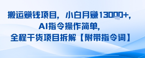 搬运挣钱项目，AI指令操作简单，小白月入1W+，全程干货项目拆解-站源网
