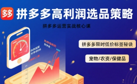 拼多多选品暴利技术实战课，拼多多高利润选品策略，拼多多限时低价标签秘诀-站源网