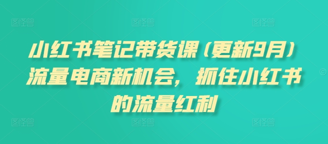 小红书笔记带货课(更新25年4月)流量电商新机会，抓住小红书的流量红利-站源网