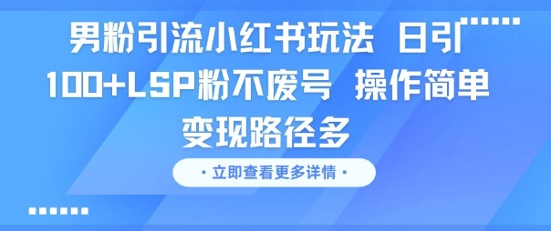 男粉引流小红书玩法，日引100+LSP粉不废号，操作简单，变现路径多-站源网