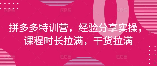 拼多多特训营，经验分享实操，课程时长拉满，干货拉满(更新25年4月)-站源网