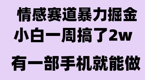 情感暴力掘金项目，新人操作一周挣了2W，长期稳定小白可做【揭秘】-站源网