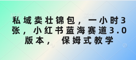 私域卖壮锦包，一小时3张，小红书蓝海赛道3.0版本， 保姆式教学-站源网