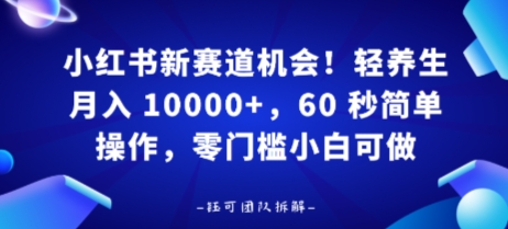 小红书新赛道机会，轻养生月入 1w，60 秒简单操作，带货接广都可以，零门槛小白可做-站源网