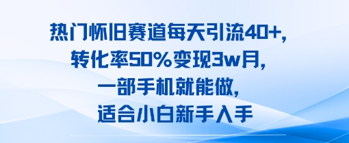 热门怀旧赛道每天引流40+，转化率50%月变现3w，一部手机就能做，适合小白新手入手-站源网