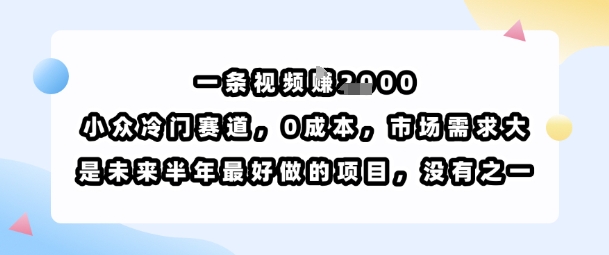 一条视频挣1k，小众冷门赛道，0成本，市场需求大，是未来半年最好做的项目，没有之一-站源网