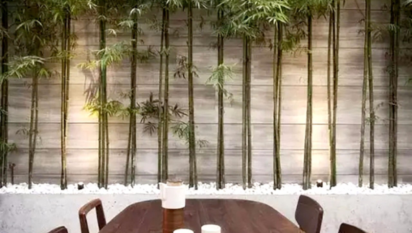 院子里种植竹子的风水好处-站源网