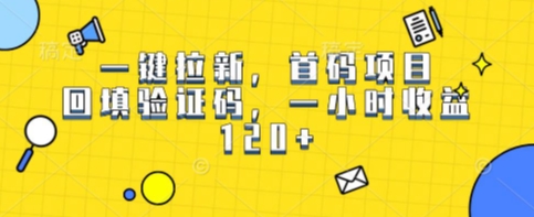 一键拉新，首码项目，回填验证码，一小时收益1张-站源网