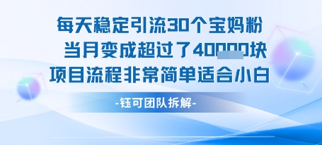 每天稳定引流30个人 当月变成超过了4个W项目流程非常简单适合小白-站源网