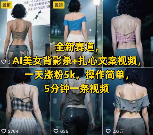 全新赛道，AI美女背影杀+扎心文案视频，一天涨粉5k，操作简单，5分钟一条视频-站源网