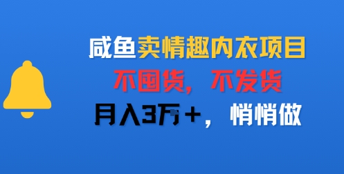 咸鱼卖情趣内衣项目，不囤货，不发货，月入3W+，悄悄做-站源网
