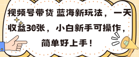 视频号带货蓝海新玩法，一天收益3张，小白新手可操作，简单好上手!-站源网
