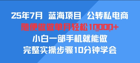 25年7月蓝海项目，公转私电商，随便做做单月轻松1w，小白一部手机就能做，完整实操步骤10分钟学会-站源网