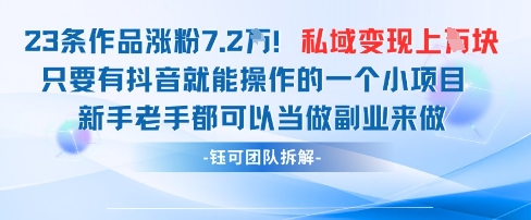 抖音私域项目23条作品涨粉7.2W，私域变现1W-站源网