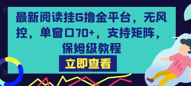 最新阅读挂G撸金平台，无风控，单窗口70+，支持矩阵，保姆级教程【揭秘】-站源网