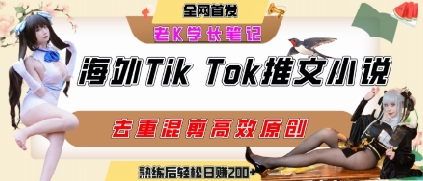 海外tiktok小说推文暴力项目，高停留率，高转化率，上手后一天搞顿饭钱不是问题-站源网