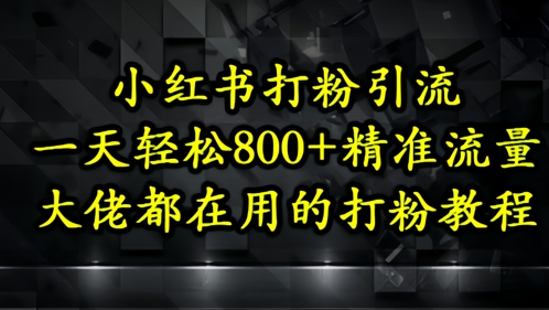 小红书打粉引流，一天轻松500+精准流量，大佬都在用的打粉教程-站源网