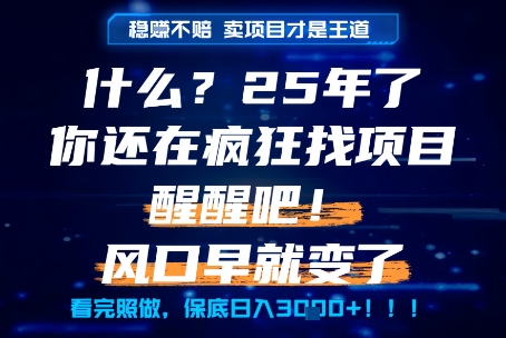 什么？25年你还在疯狂找项目做，醒醒吧，看完这些你全都懂了！【揭秘】-站源网