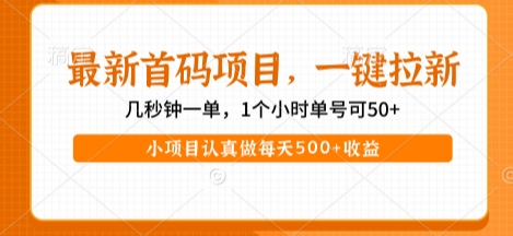 最新首码项目，操作最简单，收益高，一键拉新，1个小时单号可50+，小项目认真做每天5张+收益【揭秘】-站源网