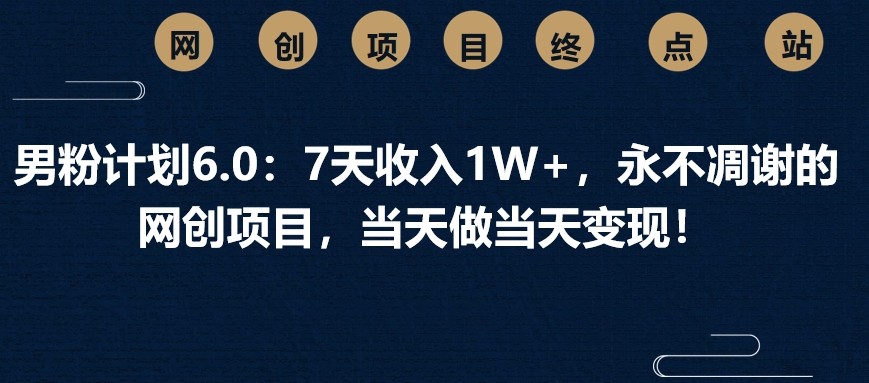 男粉计划6.0：7天收入1W+，永不凋谢的网创项目，当天做当天变现！-站源网