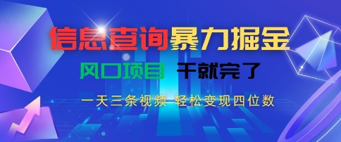 信息查询暴力掘金，一天三条视频，轻松变现四位数，风口项目干就完了【揭秘】-站源网