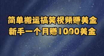 简单搬运搞笑视频挣美金，新手一个月入1k美金-站源网