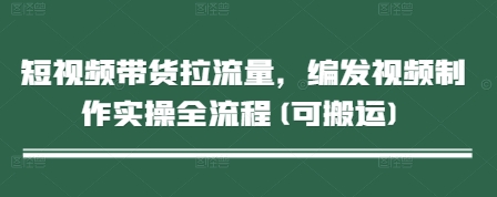 短视频带货拉流量，编发视频制作实操全流程(可搬运)-站源网
