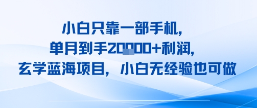 小白只靠一部手机，单月到手2W+利润，玄学蓝海项目，小白无经验也可做-站源网