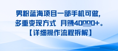 8月新男粉蓝海项目一部手机可做，多重变现方式 月入4W+【详细操作流程拆解】-站源网