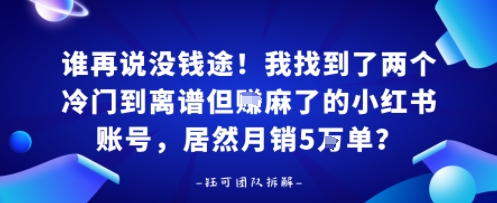 谁再说没钱途！我找到了两个冷门到离谱但賺麻了的小红书账号，居然月销5W单？-站源网