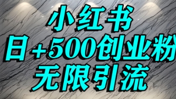 小红书无限引流创业粉，单人操作日引500+精准创业粉-站源网