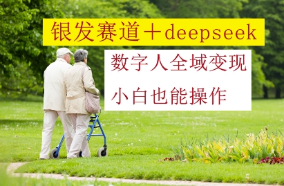 银发赛道+deepseek数字人全域变现，小白也能操作-站源网