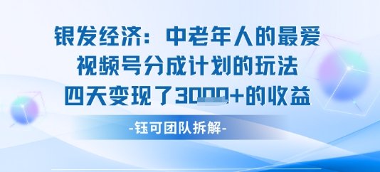 视频号银发经济玩法四天变现了1k的收益-站源网