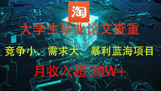 大学生毕业论文查重，暴利蓝海项目，月收入过1W+-站源网