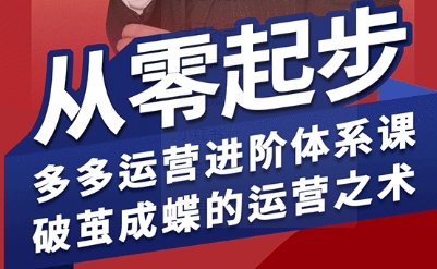 拼多多运营进阶系统课，从零起步，多多运营进阶体系课，破茧成蝶的运营之术-站源网