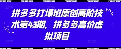 拼多多打爆班原创高阶技术第43期，拼多多高价虚拟项目-站源网