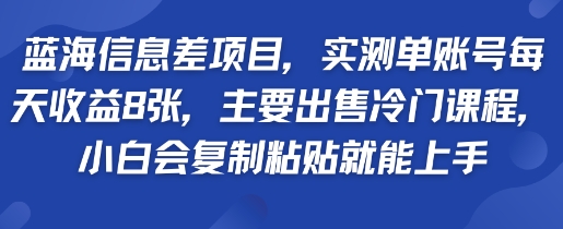 蓝海信息差项目，实测单账号每天收益多张，主要出售冷门课程，小白会复制粘贴就能上手-站源网