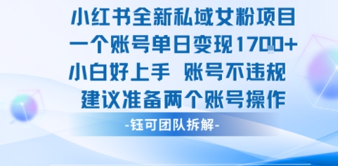小红书全新私域女粉项目 单日变现1k+ 小白好上手账号不违规-站源网