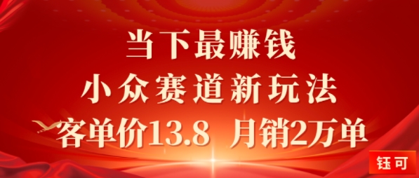当下最挣钱的小众赛道 小红书新玩法10个作品涨粉3W，客单价13.8 月销2W单-站源网