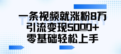 一条视频就涨粉8W引流变现5k+，0基础项目轻松上手-站源网