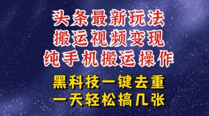今日头条纯搬运玩法，轻松过原创不违规，轻松日入三位数，稳的很-站源网