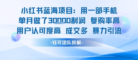 小红书蓝海项目，一部手机单月做了3W利润，小白也能月入过1W用户认可度高成交多-站源网