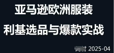 跨境电商选品案例24-25年，聚焦跨境电商选品策略与运营优化，助力卖家挖掘蓝海市场-站源网